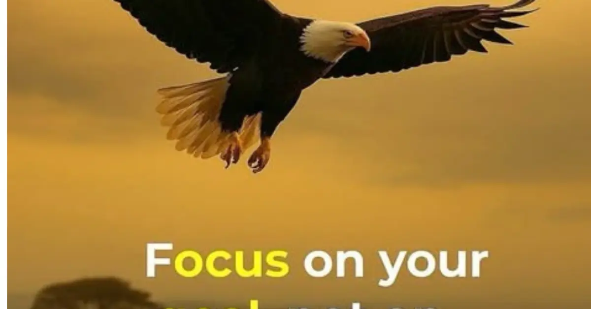 study-and-student-motivational-captions-for-instagram